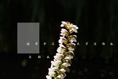 信用卡迟还一天算逾期么(信用卡晚还一天算逾期么)