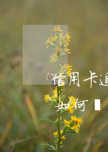 信用卡追息個性化分期(個性化分期還款利息如何計算)