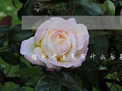 信用卡追息有什么后果(什么是信用卡追息)