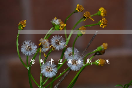 信用卡退回逾期费用