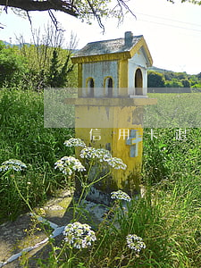 信用卡退息怎么查(信用卡退息怎么查明細)