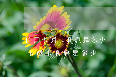 信用卡透卡利息是多少錢(qián)（信用卡透卡利息是多少）