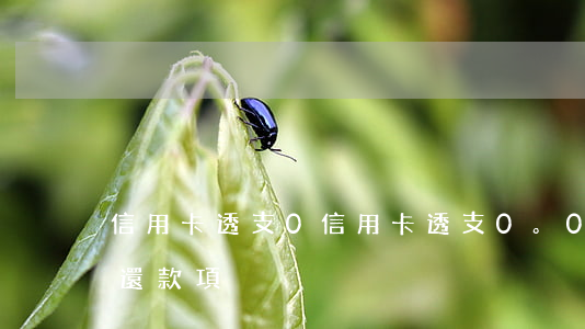 信用卡透支0，信用卡透支0。02但是沒有還款項
