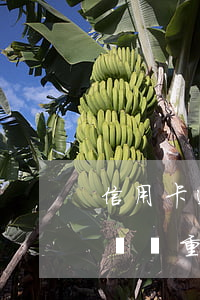 信用卡透支0多塊錢逾期(信用卡逾期十幾塊錢嚴重嗎)