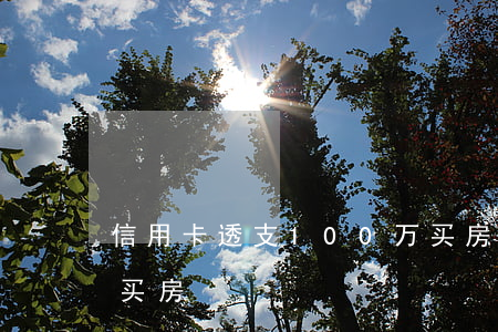 信用卡透支100万买房(信用卡30万全款买房)