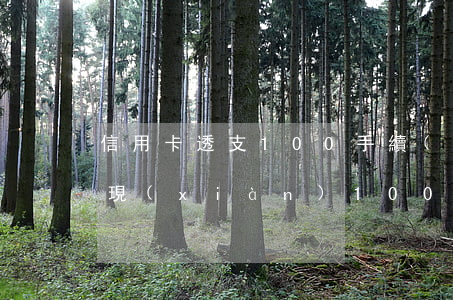 信用卡透支100手續(xù)費(信用卡取現(xiàn)100元手續(xù)費多少)