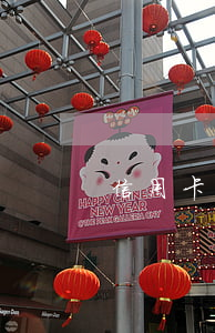 信用卡透支100萬失蹤(信用卡不還)