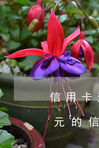 信用卡透支10萬以上案例(可以透支10萬元的信用卡辦理需要什么條件)