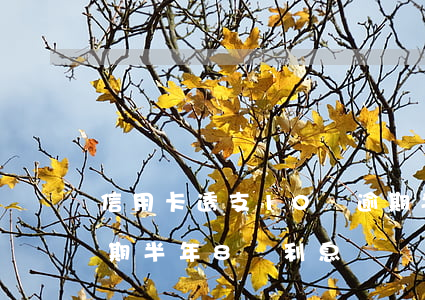 信用卡透支10萬逾期半年(信用卡10萬逾期半年8萬利息)
