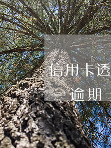 信用卡透支10萬逾期后利息(欠信用卡10萬逾期一年)