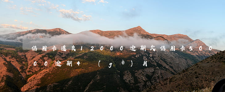 信用卡透支12000逾期(欠信用卡50000逾期4個(gè)月)
