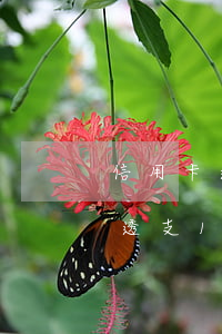 信用卡透支15萬無力償還怎么判-信用卡透支15萬無力償還怎么判刑