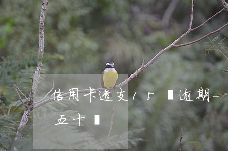 信用卡透支15萬逾期-十幾張信用卡逾期五十萬