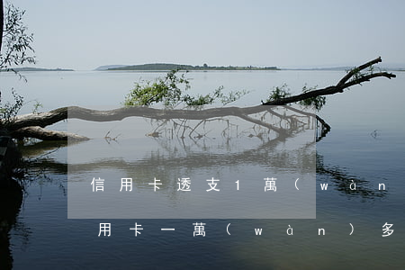 信用卡透支1萬(wàn)元要坐牢嗎(欠信用卡一萬(wàn)多會(huì)坐牢嗎)