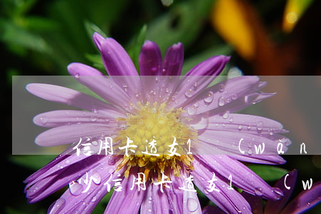 信用卡透支1萬(wàn)逾期1年利息多少(信用卡透支1萬(wàn)逾期1年利息多少)