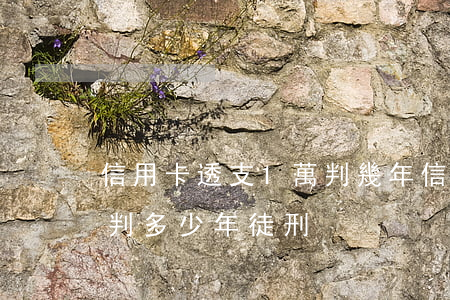 信用卡透支1萬判幾年(信用卡透支100萬判多少年徒刑)