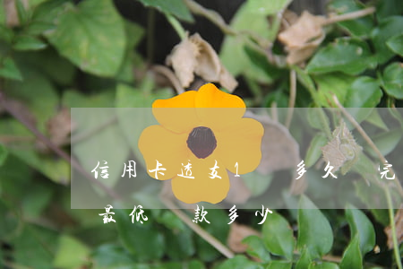 信用卡透支1萬多久還完(信用卡透支一萬元最低還款多少)