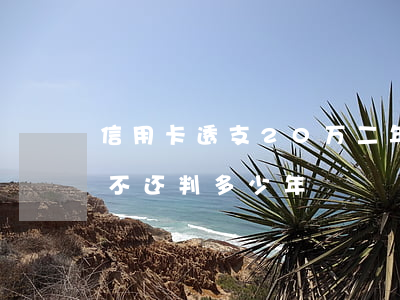 信用卡透支20万二年了(信用卡透支二十万不还判多少年)