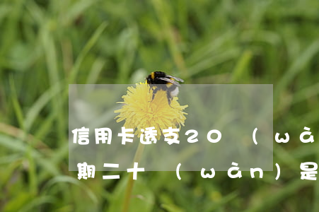 信用卡透支20萬(wàn)逾期(信用卡逾期二十萬(wàn)是否犯法)