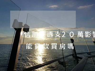 信用卡透支20萬影響房貸(欠信用卡20萬能貸款買房嗎)