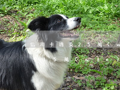 信用卡透支25萬(wàn)判10年(信用卡15萬(wàn)不還會(huì)判刑嗎)
