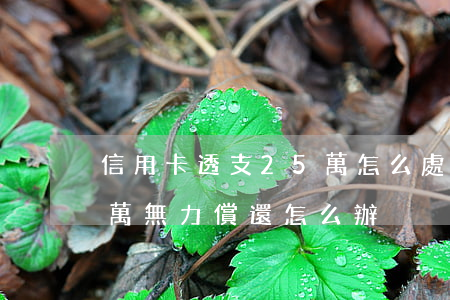 信用卡透支25萬怎么處理(透支信用卡30萬無力償還怎么辦)