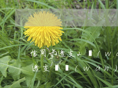 信用卡透支2萬(wàn)后怎么辦(信用卡透支兩萬(wàn)還不上 坐牢坐多久)