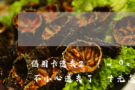 信用卡透支2萬(wàn)怎么辦理(信用卡不小心透支了幾十元怎么辦)