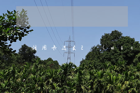 信用卡透支2萬(wàn)逾期一年