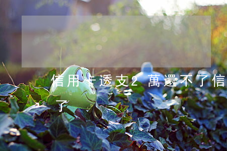 信用卡透支2萬還不了(信用卡透支2萬還不了)