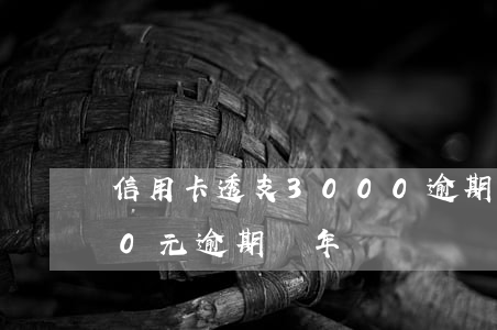 信用卡透支3000逾期一年(信用卡3000元逾期兩年)