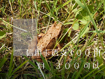 信用卡透支300用不用還(欠信用卡的錢每個月還300可以嗎)