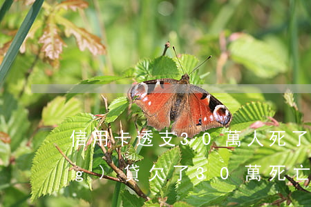信用卡透支30萬人死了(信用卡網(wǎng)貸欠了30萬死亡)