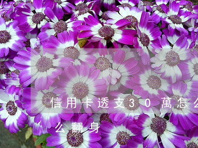 信用卡透支30萬怎么過(欠信用卡30萬怎么翻身)