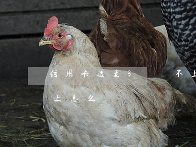 信用卡透支3萬還不上(信用卡透支3萬還不上怎么辦)