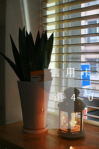 信用卡透支4000怎么還(每個(gè)月還4000信用卡 一共欠了多少錢(qián))