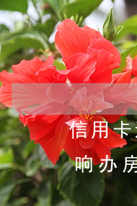 信用卡透支4万影响房贷吗(信用卡4张会影响办房贷)