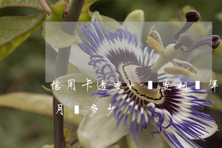 信用卡透支4萬要判幾年(信用卡透支四萬每月還多少)