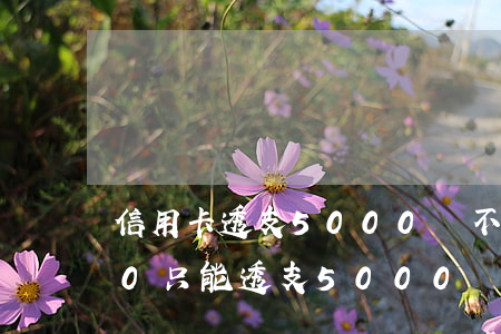 信用卡透支5000還不上(我信用卡8000只能透支5000)