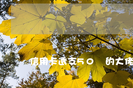 信用卡透支50億的大佬(信用卡大亨)