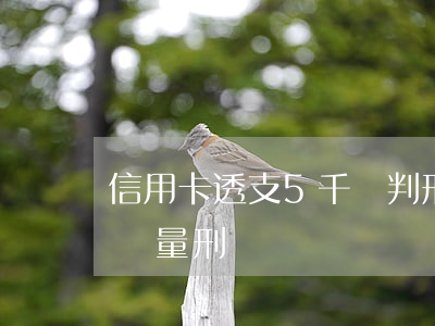 信用卡透支5千會判刑嗎(信用卡惡意透支5萬量刑)