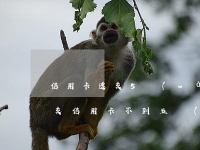信用卡透支5萬(wàn)以上不還(惡意透支信用卡不到五萬(wàn))