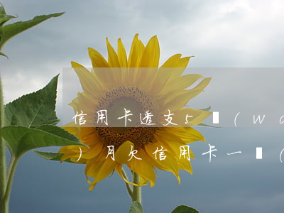 信用卡透支5萬(wàn)逾期1個(gè)月(欠信用卡一萬(wàn)逾期五個(gè)月怎么辦)