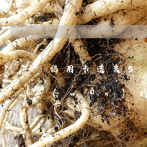 信用卡透支5萬(wàn)還款額度嗎(五萬(wàn)的信用卡最低還款是多少)