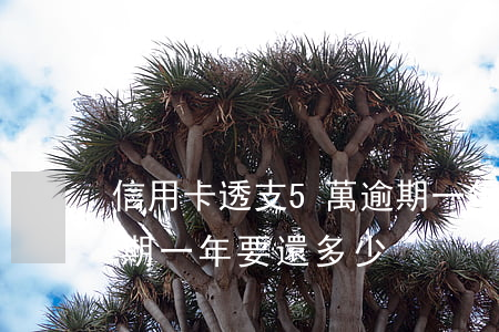 信用卡透支5萬逾期一年利息(信用卡5萬逾期一年要還多少)