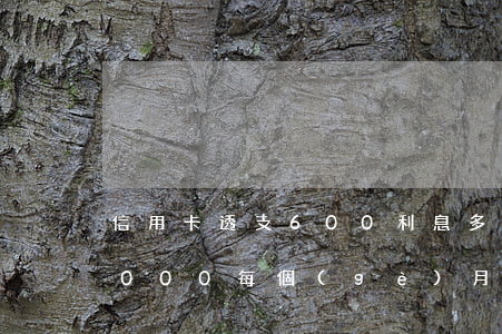 信用卡透支600利息多少(透支信用卡10000,每個(gè)月利息多少錢)