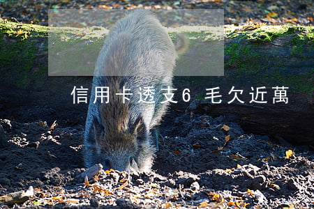 信用卡透支6毛欠近萬