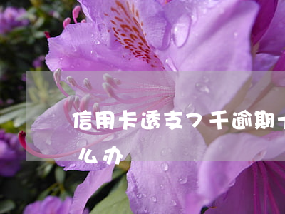 信用卡透支7千逾期十年(信用卡逾期七年怎么办)