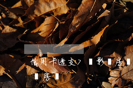 信用卡透支7萬影響房貸(信用卡透支7萬影響房貸)