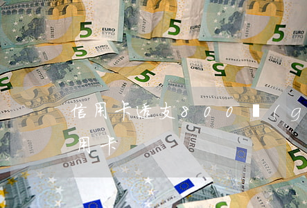 信用卡透支800個(gè)億(900億信用卡)